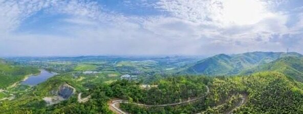 大象传媒破解版无限看-大象传媒破解版，网络内容获取的灰色地带与法律风险