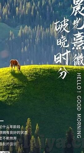 麻豆视频app官网-探索成人娱乐APP，麻豆视频官网的全面解析